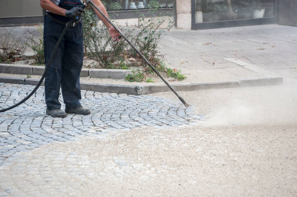 Best Boat and Dock Cleaning  in Stewartville, AL